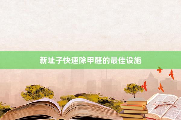 新址子快速除甲醛的最佳设施